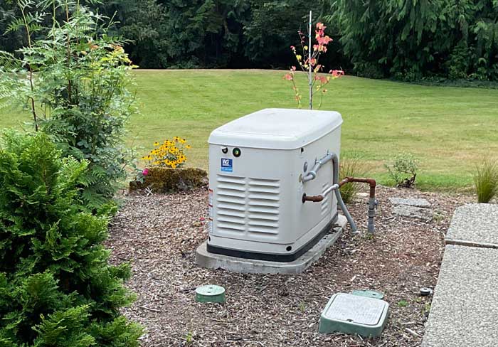 Efficient Burien generator in WA near 98146